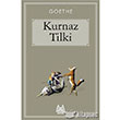 Kurnaz Tilki Arkada Yaynlar