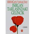 Isrgan Tarlasndaki Gelincik Sreyya Tekin Yaynevi