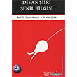 Divan iiri ekil Bilgisi H Yaynlar