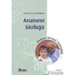 Anatomi Szl Hatibolu Yaynevi