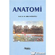 Anatomi Hatibolu Yaynlar