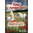 zlem Ayrln z nsancl Yaynlar