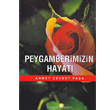Peygamberimizin Hayat enyldz Yaynevi