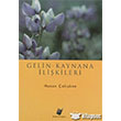 Gelin Kaynana likileri Kitap Dnyas