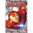 Yenilmez Demir Adam Ironman Sil Batan Arka Bahe Yaynclk