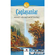 alayanlar Karanfil Yaynlar