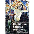 Rojniviska Spinoza Lis Basn Yayn