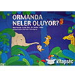 Ormanda Neler Oluyor Kk Yaynevi