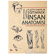 Plastik Snatlar Eitiminde Anatomisi Litera Trk Yaynlar