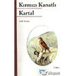 Krmz Kanatl Kartal Kk Yaynclk