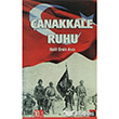 anakkale Ruhu Metropol Yaynclk