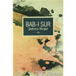 Bab Sur Lis Basn Yayn