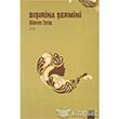 Brina ermini Lis Basn Yayn
