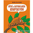Bitki ve Hayvanlarda Adaptasyon Mavi Kelebek Yaynlar