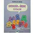 Endokrin ve reme Sistemeleri Mavi Kelebek Yaynlar
