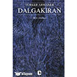 Dalgakran Metis Yaynclk