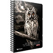 Captal Spiralli Sert Kapak 100 Yaprak izgili  Defter (2331) Gpta