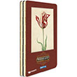 Woodland plik Dikili Sert Kapak 144 Yaprak 5 Blml  Blok Defter (2876) Gpta