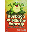 Kurbaa ve Nilfer Yapra Patik Kitap