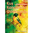 Ku Kanadnda Gkkua Potkal Kitap Yaynlar