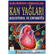 Salmzn Dmanlar Kan Yalar Kolesterol ve Enfarkts Pamuk Yaynclk