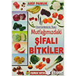Dertlerimizin lac Mutfamzdaki ifal Bitkiler Pamuk Yaynclk