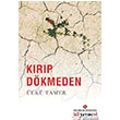 Krp Dkmeden stanbul Kltr niversitesi