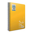 Double Neon Spiralli Neon PP Kapak A4 40 Yaprak Kareli  Defter (2304) Gpta