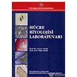 Hcre Biyolojisi Laboratuvar stanbul Kltr niversitesi