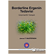 Borderline Ergenin Tedavisi Psikoterapi Enstits