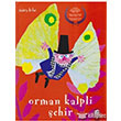 Orman Kalpli ehir Final Kltr Sanat Yaynlar