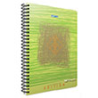 Edition Spiralli Karton Kapak A6 80 Yaprak izgili Defter (1176) Gpta