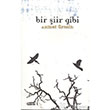 Bir iir Gibi Tebeir Yaynlar