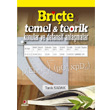 Brite Temel ve Teorik Konular ve Defansif Anlamalar Sinemis Yaynlar