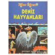 Deniz Hayvanlar Arkn Kitabevi