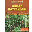 Orman Hayvanları Arkın Kitabevi