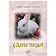 Glayn Tavan Tun Yaynclk