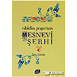 Abidin Paa nn Mesnevi erhi Vefa Yaynlar