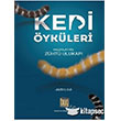 Kedi ykleri Baygen Ajans