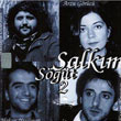 Salkm St 2