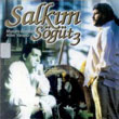 Salkm St 3