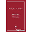 Amerika Mevsimler Kitap