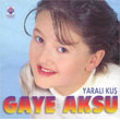 Yaral Ku Gaye Aksu