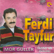 Mor Gller Fadime`nin Dn Ferdi Tayfur