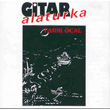 Gitar Alaturka Tark cal