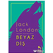 Beyaz Di Nora Kitap