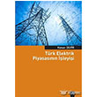 Trk Elektrik Piyasasnn leyii Dora Basm Yayn