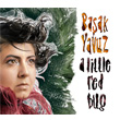 A Little Red Bug Baak Yavuz
