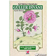 Gller Divan Grifon Kitap