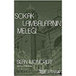 Sokak Lambalarnn Melei Tnel Yaynevi